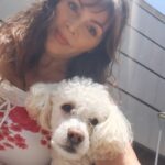 Verónica Macías Instagram – Viviendo el eclipse con mi amigo🐩