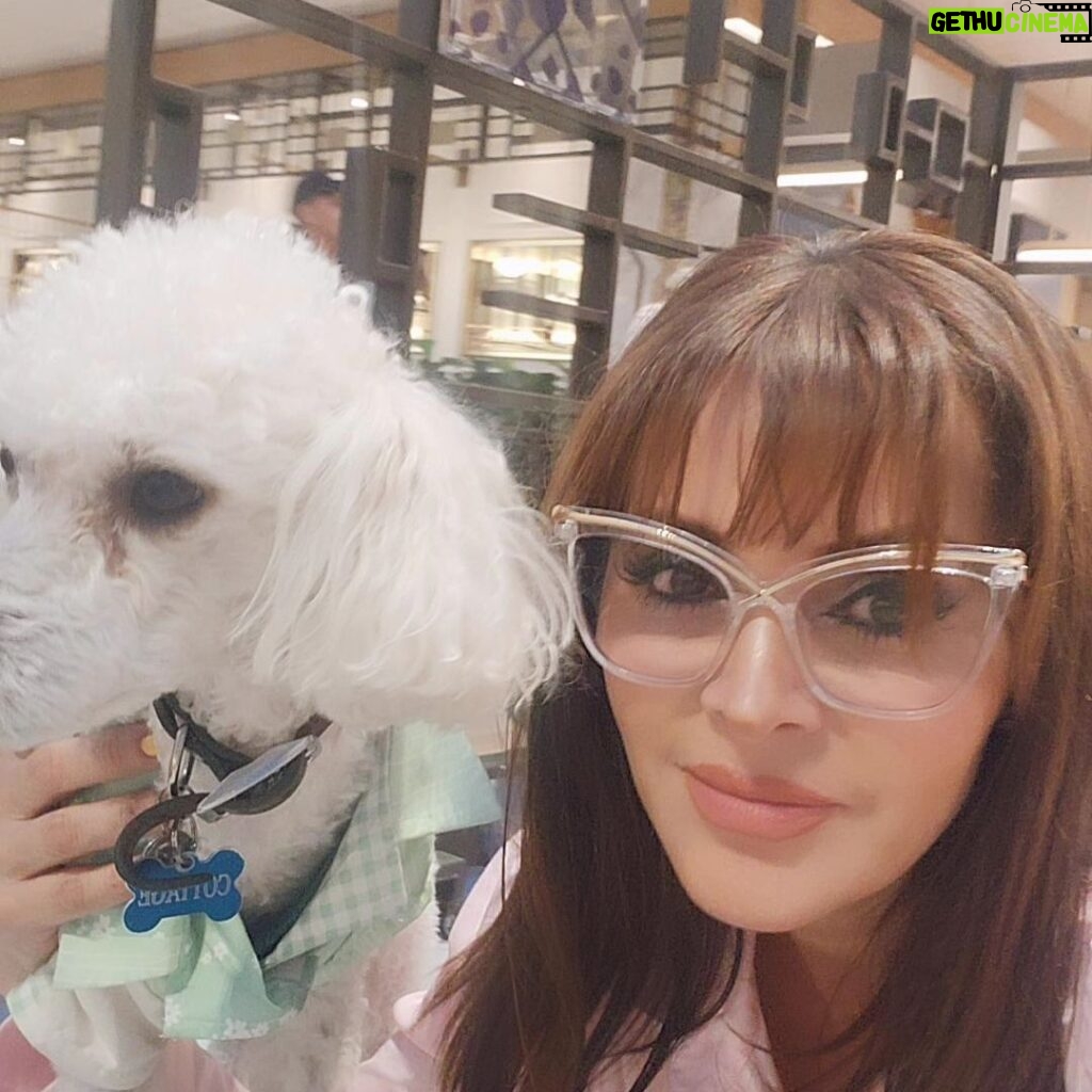 Verónica Macías Instagram - Lo amo🐩💕 Lentes @consultoriovisual