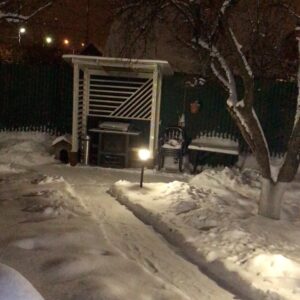 Vera Sotnikova Instagram - Всех с Наступающим Рождеством! Мира, любви и добра вашим семьям!#праздник#сад#уют#удовольствие#надеждынабудущее#вера#счастье#