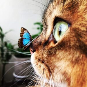 Vera Sotnikova Instagram - Точь в точь, как мой Марсик!