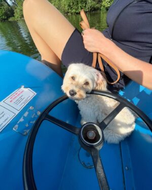 Veronica Ferres Instagram - Mit einem Eis🍦und der besten Beifahrerin Luna 🐶 das sonnige Wochenende ausklingen lassen! 

Ich wünsche euch einen tollen Start in die neue Woche. 

#happynewweek
