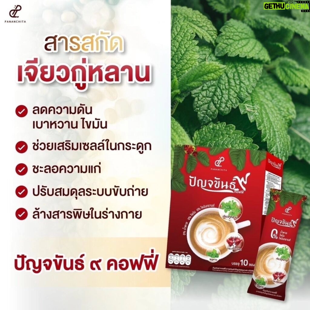 Vichuda Pindum Instagram - ปัญจขันธ์9คอฟฟี่ กาแฟเพื่อสุขภาพ หอม อร่อย กลมกล่อม ใช้หญ้าหวานแทนน้ำตาล ครีมมะพร้าวและครีมรำข้าวให้รสชาติเป็นเอกลักษณ์ -ช่วยบำรุงสมองและสายตา สดชื่น กระปรี้กระเปร่า -บำรุงตับ ดีท็อกซ์สารพิษ -ลดระดับไตรกลีเซอร์ไรด์คอเลสเตอรอล ไขมันละน้ำ ตาลในเลือด -ช่วยให้เลือดไหลเวียนดีขึ้น ปรับความดันโลหิตให้อยู่ในระดับปกติ -ต้านอนุมูลอิสระ ชะลอวัย เสริมภูมิคุ้มกัน **สารสกัดเด่นในสูตร** เจียวกู่หลาน /อาร์ติโชค/ พลูคาว/ มะขามป้อม ครีมเทียมจากมะพร้าว ทางเลือกใหม่ของคนรักกาแฟใส่ครีม กาแฟโรบัสต้า/อาราบิก้า ครีมน้ำมันรำข้าว อาร์ติโชคลดไขมัน ลดคอเลสเตอรอล บำรุงหัวใจและตับ ลดระดับไตรกรีเซอไรด์ ลดไขมันไม่ดีและเพิ่มไขมันดี *แคลต่ำ ไม่มีน้ำตาล ไม่มีไขมันทรานส์ ไม่มีคอเลสเตอรอล ❤️สั่งซื้อที่ไลน์@wowhealthy❤️ #กาแฟปัญจขันธ์9 #กาแฟสุขภาพ #pananchita #แหม่มวิชุดา #กาแฟพี่แหม่ม