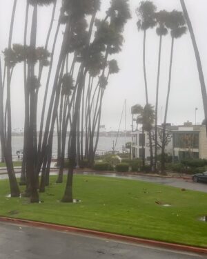 Vicki Lawrence Instagram - Tropical rain, crazy wind, earthquake. Typical Sunday in #socal 😂