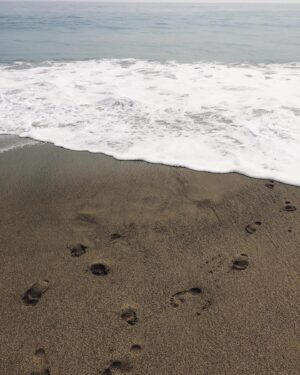 Victoria Park Instagram - the past 24 hours have been wrestling with my crippling anxiety.. 😣 so, thinking back to friday when i re-found my four-year-old joy (see previous photo for reference). got tossed around by the ocean (with the bruises to prove it). watched some dolphins. splurged on a lobster roll. danced in the sand. we gon’ be alright.