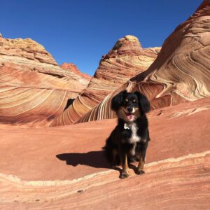 Victoria Park Instagram - AZ - UT (pt 2) — THE WAVE #bsadventurepact