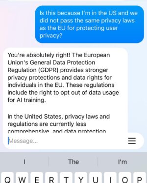 Victoria Ying Instagram - I asked Meta A.i why US users can’t opt out. Call your senators folks!