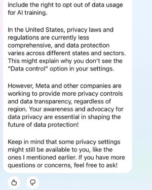 Victoria Ying Instagram - I asked Meta A.i why US users can’t opt out. Call your senators folks!