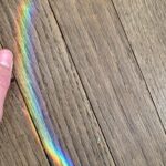 Victoria Moroles Instagram - “Okay kids! This is it!! It’s your moment to shine! Make me proud, stretch those leaves and show everyone what a little forest you’ve become!! You even created a rainbow! Or wait, that was the sun ... but you ARE magic! Don’t let anyone tell you otherwise.”