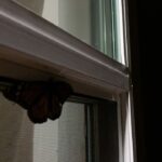 Victoria Moroles Instagram - it’s not a butterfly filter I swear