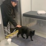 Victoria Moroles Instagram - Dropping some animal love on the feed because it’s been a long week and I look at these and smile. a little sneak at the end of one of our animal friends on set who fell in love with Ku & her warm jacket 🐱 happy Friday.