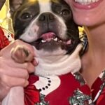 Victoria Spence Instagram - Merry Chirstmas lovelies 🎄🫶🏻 Remember that behind every perfect family photo is a partner who's been forced into matching Pjs, dogs/children who have been bribed to sit still for 2 minutes and a mate behind the camera asking if there is one you're happy with yet (or a tripod in some cases).🤥🤣 Christmas time can be comparison central, so wherever you are, be all there & remember Instagram is just the highlights. Sending you so much love, and thank you for everything this year 💕💕 x #merrychristmas