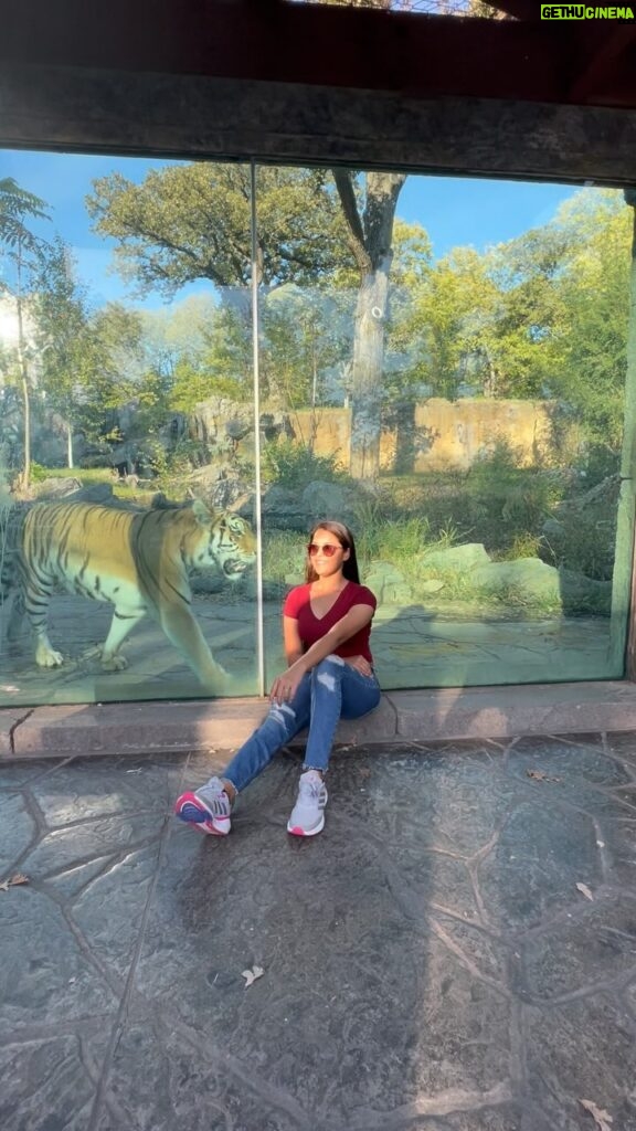 Vinitha Jaganathan Instagram - With my tiger buddy 😂 Holding my nerves