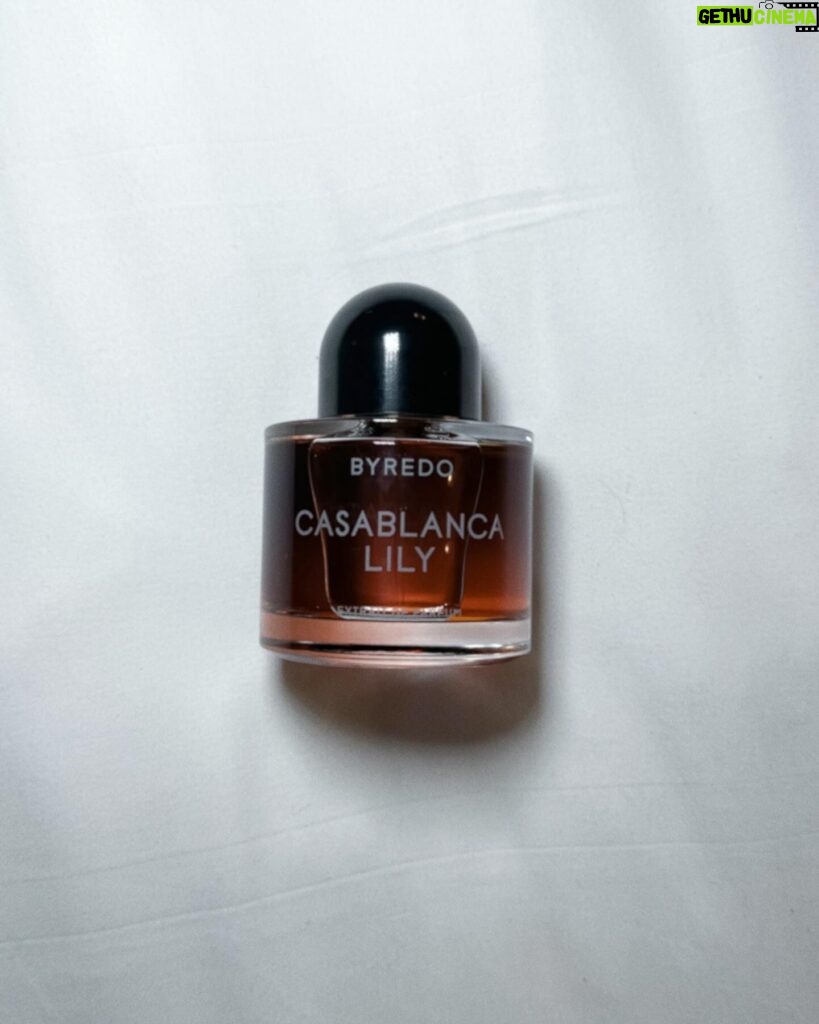 Virginie Conte Instagram - Life recently 🇮🇹 & fav perfume @officialbyredo