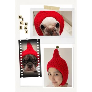 Vivi Lee Instagram - 🧶我很喜歡打毛線～並不是一定要完成多厲害的成品，我喜歡的是編織的過程～
也許是因為我還不像我媽或是很多老手可以邊看電視邊打（其實我後來也是有邊打毛衣邊看電視過，只是很容易出錯哈哈哈）所以我很喜歡自己專注在編織時的時間～慢慢的～腦中很放空（只有專心在針法跟針數）～很悠閒～
我也很喜歡挑選喜歡的毛線，顏色，從一坨毛線慢慢變成一件東西的感覺～是很期待很開心的～當然，我也是有些打到一半的半成品～但毛線不會壞啊～想到時，有時間時再開始打起來，就好像新的開始一樣～而且從一開始編織錯了就完蛋了到後來慢慢學會自己也可以修復打錯的部分～覺得得意😎

我其實在幾年前就上過黃泳涵老師的鉤針課了！（我的作品如圖）那時很想試試看鉤針～一堂課也是完成了一頂人的帽子～
這次很開心能夠再次跟老師上課（老師完全沒有變～超凍齡）幫我的愛❤️李先打精靈帽～看起來很難的帽子，其實真的沒有想像的難耶😀狗狗的頭比較小，我大概2-3小時完成😌
老師的解說方法很容易懂這很重要！從簡單的針法慢慢學，可以變化出很多東西歐～雖然，手織的帽帽或是衣服等不像工廠生產的那麼完美，但我就是喜歡那個不完美～獨一無二！

編織對我來說，除了自己靜心（放鬆？）的練習～編織給我的愛我兒紙，編織送給我的侄子（也是狗哈哈哈）甚至給自己，那都是一份心意～現代的我們要什麼都得來容易，手作反而更顯得珍貴我覺得～小時候我媽常打毛衣給我們，現在的媽媽好像很少在織毛衣給小孩了嗎，如果是，我覺得很可惜～我媽買很多衣服給我我其實都沒特別記得幾件，但是她織給我的桃紅＋白小背心，豬肝紅毛衣，還有我指定的鵝黃有花捲的毛衣，我到現在都還記得！
也許大家都很忙碌，忙著生活，但是可以試試當作是給自己放鬆的時光，小小的簡單的編織，溫暖自己跟別人（你的寵物！）的心吧！

🧶讓編織進入生活，找回自己的靜謐時光

線上課程「棒針入門與個性化禮物」
☑️ 懂得選擇合適的毛線與工具
☑️ 學會 2 種針法，完成 5 件療癒作品
☑️ 了解編織邏輯，設計獨一無二的禮物