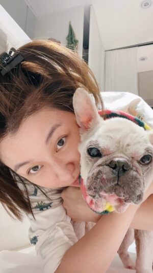 Vivi Lee Instagram - 我知道你好像幾乎看不見了。
沒關係我在。
我知道你老人癡呆所以會走來走去不知道去哪。
沒關係我在。
我知道你有時會迷惘發呆。
沒關係我在。
我知道你肌力不足了所以走路有點不穩也站不久。
沒關係我在。
雖然我有時會閃過恐懼跟害怕好怕。但放心我會在。
你別怕。我在
我也別怕。因為你需要我在。

#很多人問我李姐幾歲她在人類是人瑞級了但在我心裡還是小杯杯最多也只是個固執的老杯比
#長青犬 #mylove #福仔瓜 #frenchie #frenchbulldog