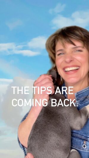 Vivian Howard Instagram - THE TIPS ARE COMING BACK & they’re quirkier than ever. Also, meet @tinatootinturnip, everybody.