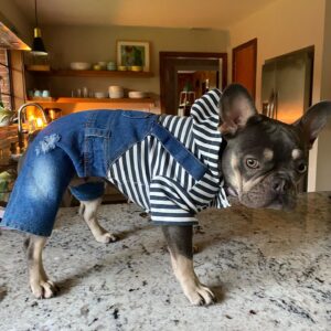 Vivian Howard Instagram - Put it on my story but decided I needed @tinatootinturnip dressed like her mom in the hard feed. I had nothing to do with it btw, but was thrilled to see this little striped sausage in the flesh.