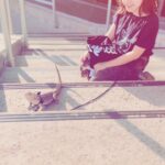 Vivien Lyra Blair Instagram - Sauro taking the steps like a champ 👀
