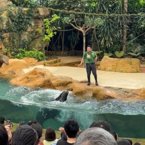 Vivien Yeo Instagram - 結束了新年旅行回到香港了
回來之前去了Singapore住了幾天
在元宵節那天去探望外公外婆
和外婆去巴剎吃她喜歡吃的雞飯
再陪她到大伯公廟拜神

在Singapore 住了幾天
特地帶小孩去Singapore Zoo @mandaiwildlifereserve 
原來帶著兩個2-4歲的小孩去動物園（真正的大動物園） 是那麼具挑戰性的，因為天氣熱加上需要走很多路。

圖1 ：這次特地預訂了 Breakfast in the wild 和動物們一起吃早餐，非常特別的體驗。 一開始女兒見到orang utan 還嚇得尖叫😅😅幸好之後還是肯和動物拍照還大膽的摸蟒蛇😆

圖8 ： Boon Lay 大伯公廟

圖9&10 ： 和小孩一起搭飛機，我唯一看的節目就是Peppa Pig ，9mins 的Peppa Pig，不斷重複，我看了接近4小時😵‍💫😵‍💫。吃雪糕是我最開心的時候😵‍💫😵‍💫

總的來說，旅程雖然很忙碌有點小累，不斷忙著顧小孩。但是能帶他們回去過年，和他們一起體驗很多新事物，一切都是值得的❤️❤️