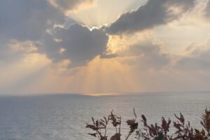 Wakana Aoi Instagram - ．
初めての3人旅は、
9年ぶりの五島列島・福江島！

本当に久しぶりに会えた方達との温かい時間に胸がいっぱい😢

五島もどんどん進化していて、新しい場所や新しい出会いがあったり、無くなっていくものもあったり。
自分たちも同じように変わったり変わらなかったり無くしたりしながら進んでいくんだなぁと、たくさん色んな気持ちになれた旅でした。

賑やかで穏やかで楽しい旅！😆