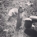Wang Luodan Instagram - 到底给不给我～哼