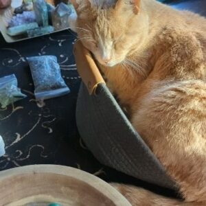 Wendi McLendon-Covey Instagram - Nesting with Butters.

#catsandcrystals
#crystalsandcats