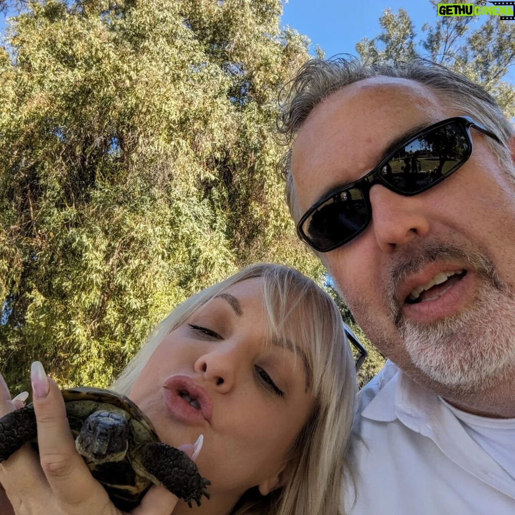 Wendi McLendon-Covey Instagram - Over the weekend we had the honor of attending the quincineara of our God-tortoise Cheeseburger! Her mother @jazmmoore pulled out all the stops! Scroll through to see Cheesie in her pretty pink dress.