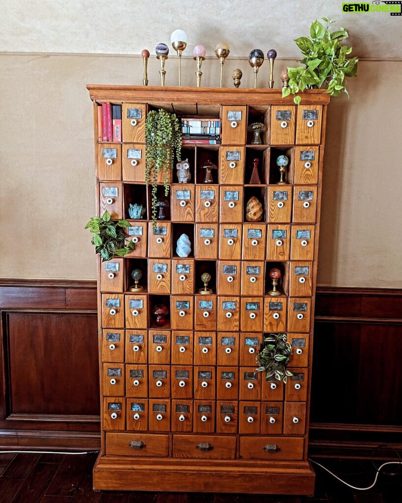 Wendi McLendon-Covey Instagram - Weeeeeee! I've always wanted a vintage apothecary cabinet, and I found one at Legacy Consignment in Long Beach! I just love treasure hunting in antique stores and consignment shops. . . . . #antiquing #apothecarycabinet #shoplongbeach #consignmentboutique @legacyconsignment_long_beach