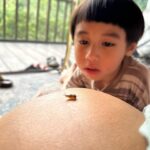 Westny Dj Instagram - I can't believe kmu sebentar lagi jadi kakak Kaimano.. kmu yg makin dewasa keliatan bgt uda bisa se-care and sepengertian itu sama Gembil and Mamush😍 Can't wait to see my boys grew up together🫶🏻 This will be another level of fun for your life Kaimano❤️ Gemesh bgt mamush tu sama kmu kaimano❤️ #cute #1stborn #son #anakpertama #mom2boys #mom #naturelife #nature #alamsemesta #fun #love #sayang