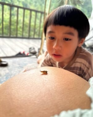 Westny Dj Instagram - I can't believe kmu sebentar lagi jadi kakak Kaimano.. kmu yg makin dewasa keliatan bgt uda bisa se-care and sepengertian itu sama Gembil and Mamush😍
Can't wait to see my boys grew up together🫶🏻 This will be another level of fun for your life Kaimano❤️
Gemesh bgt mamush tu sama kmu kaimano❤️

#cute #1stborn #son #anakpertama #mom2boys #mom #naturelife #nature #alamsemesta #fun #love #sayang