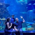 Westny Dj Instagram – Wish to have a life under the sea😍 would it be possible? 
Another pengalaman seru #throwback waktu di jakarta.. happily family time liat fishy everywheree😍

#sealife #sea #aquarium #fish #water #seawater #jakarta