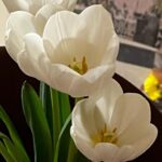Won Jin-ah Instagram - 🌷