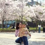 Woo Hye-rim Instagram - 벚꽃 구경🌸 #familyday #spring 🌸💕❤️