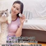 Xenia Chong Instagram - 🫶🏻🫶🏻🫶🏻 襯今日5月1日勞動節 平時你哋班貓咪喺屋企瞓成10幾20個鐘咁辛苦 就開啖啖肉又多汁又補水又有營養嘅 @dr.metrics 最新嘅主食罐營多罐俾你哋 仲加粒貓配方NMN落罐罐度 等你哋健康啲長命啲陪著我走 而家⌛限時優惠由5月1-31日 用我個優惠碼：jGaWRG4g 喺HKTV Mall內Dr.Metrics商店購物 全店再額外8折 Hashtag 🙏🏻 #drmetrics #drmetricsnmn #nmn #petsnmn #寵物nmn #營多罐