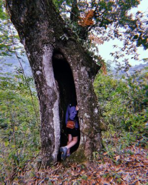 Ximena Romo Instagram - Cumplir 34 en Tenango 🫁🧠🫀🫂🌌✨🍃♈️
14 ABRIL 2024 

Gracias a los que mandaron mensajes de felicitaciones, una disculpa por tardar en contestar.