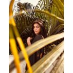 Yamini Bhaskar Instagram - 🖤