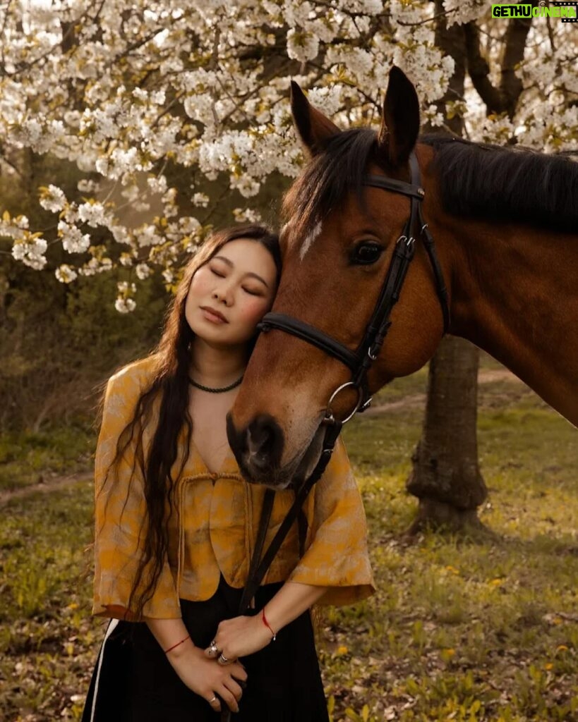 Yang Ge Instagram - Model: @yangge_ Horses & Location: @reitanlage_kladow Creator & Photographer: me @as_photo_de