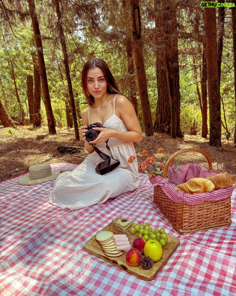 Yare Santana Instagram - 🐿️🍂🪵🍄‍🟫 #birthday #mayo #bosque #picnic #familia #foto #ajusco