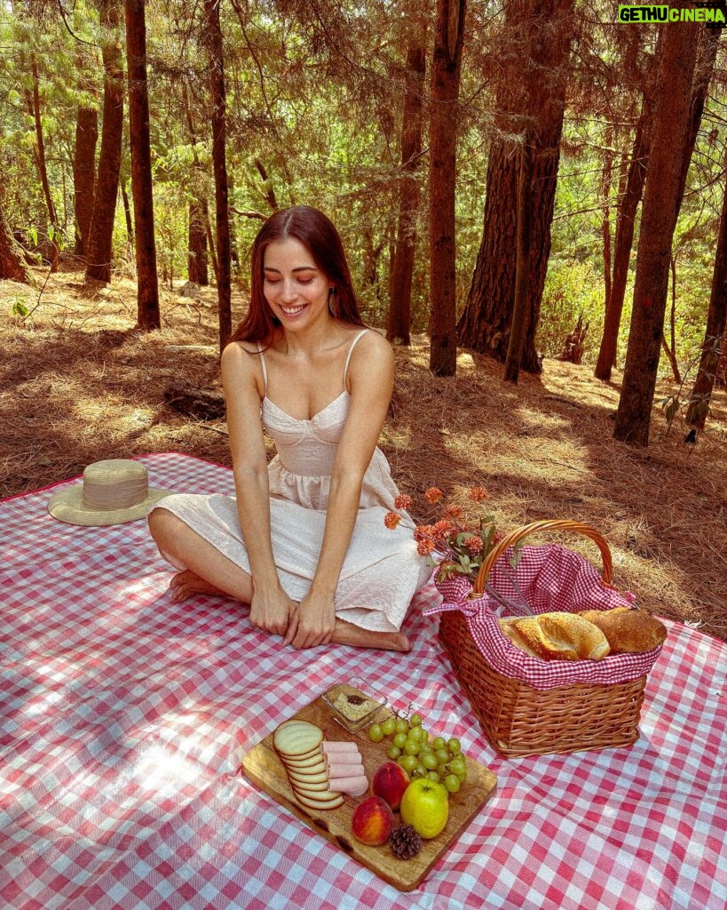 Yare Santana Instagram - 🐿️🍂🪵🍄‍🟫 #birthday #mayo #bosque #picnic #familia #foto #ajusco