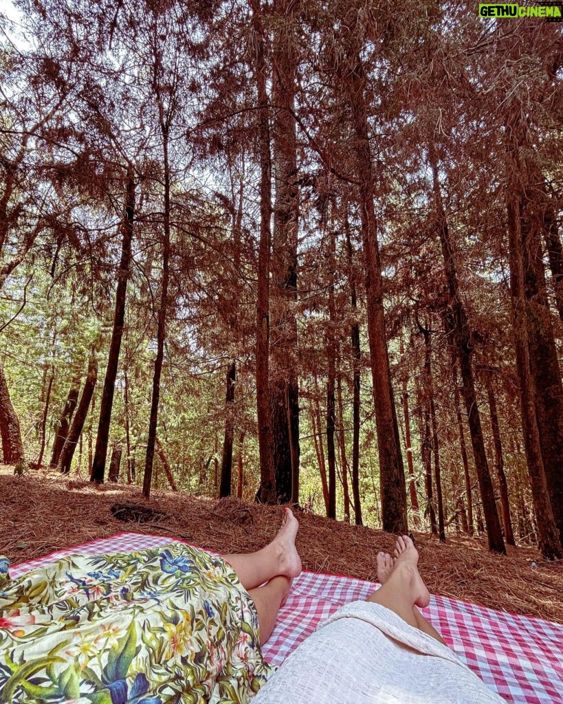 Yare Santana Instagram - 🐿️🍂🪵🍄‍🟫 #birthday #mayo #bosque #picnic #familia #foto #ajusco