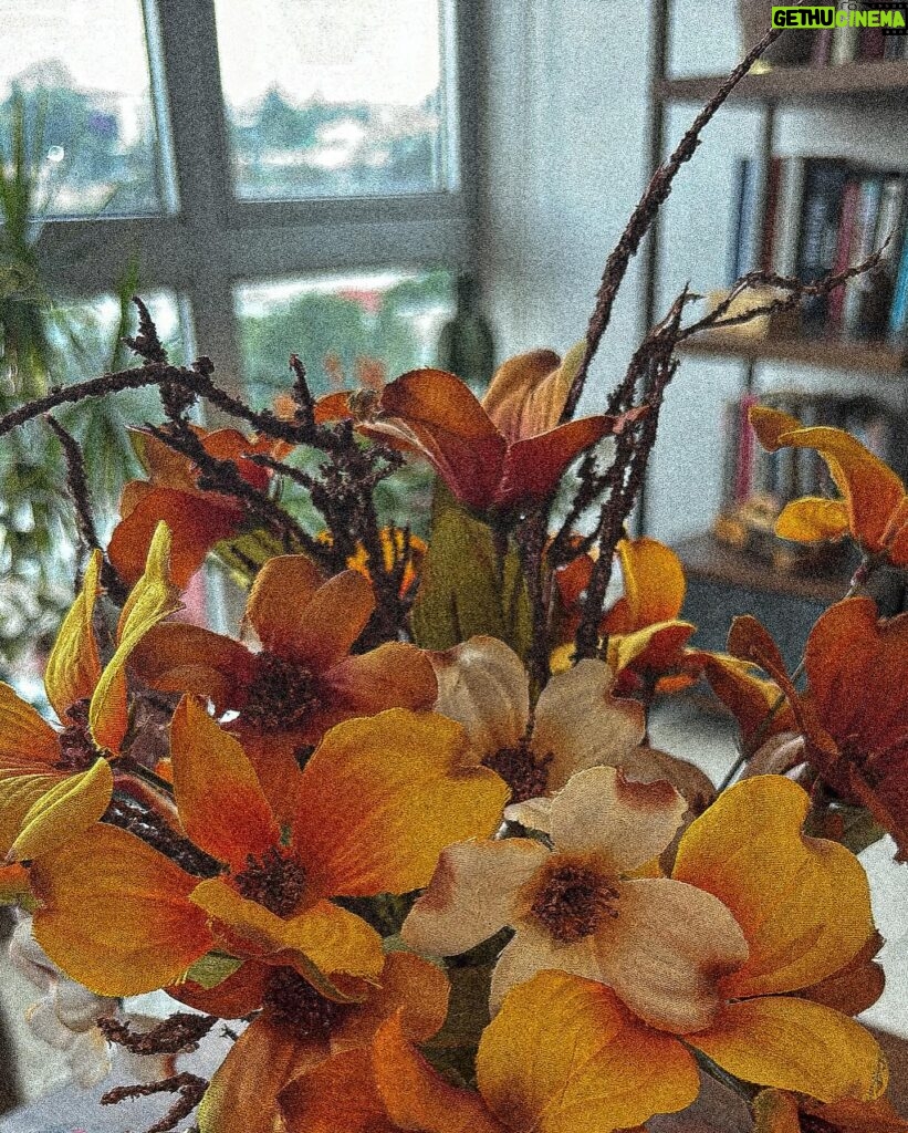 Yare Santana Instagram - “El amor es un escándalo de tipo personal”. 🧡 #mirror #orange #black #antonchejov #flowers #mayo #dump #mesdemicumple #labios