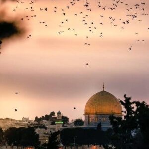 Yasemin Hadivent Instagram - “Vicdanı olmayan her insan Nazi’dir.” 

“Every person without conscience is a Nazi.” 
 
  said #ZülfüLivaneli

#FreedomForPalestine #PalestineLivesMatter #savesheikjarrah