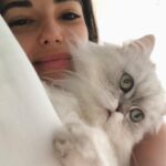 Yasemin Yazıcı Instagram - Sevgili Duman’ım, Çocukken kedilerden çok korkardım. Bu korkumu aşabilmem için seni sahiplendik. Meğer sen tüylü bir melekmişsin. Bir kez olsun beni tırmalamadın veya ısırmadın ya, teşekkür ederim minnoşum. Beraber uyurduk, birlikte ders çalışır, filmler izler, ve hatta spor yapardık. Tek çocuklu ailemde kardeşim oldun. Hayatımıza 16 yıl boyunca mutluluk getirdin. 4 sene önce hastalandığında veterinerin seni uyutmamızı önerdi. Neyse ki, daha fazla zamanla kutsandık ve sen hayatımızı bütün enerjinle aydınlatmaya devam ettin. Yıllar geçti ve 14 Ekim günü benden küçük bir kedi yavrusu olarak girdiğin evden kedi yaşıyla babamdan büyük olarak ayrıldın. Umarım cennette senin için sonsuz muhallebi, oturabileceğin güzel kutular, her zaman açık kapılar ve musluğundan sonsuz akan su vardır. Seni kucağımda izlediğin gibi güzel kuşlarla çevrili hayal ediyorum. Seni şimdiden çok özlüyoruz canım minnoşum. Paylaştığımız sevgi de anılar da kalbimde sonsuza kadar yaşayacak. Tekrar buluşana kadar huzur içinde dinlen. Tüm sevgimle, Yasemin
