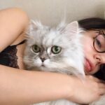 Yasemin Yazıcı Instagram - Sevgili Duman’ım, Çocukken kedilerden çok korkardım. Bu korkumu aşabilmem için seni sahiplendik. Meğer sen tüylü bir melekmişsin. Bir kez olsun beni tırmalamadın veya ısırmadın ya, teşekkür ederim minnoşum. Beraber uyurduk, birlikte ders çalışır, filmler izler, ve hatta spor yapardık. Tek çocuklu ailemde kardeşim oldun. Hayatımıza 16 yıl boyunca mutluluk getirdin. 4 sene önce hastalandığında veterinerin seni uyutmamızı önerdi. Neyse ki, daha fazla zamanla kutsandık ve sen hayatımızı bütün enerjinle aydınlatmaya devam ettin. Yıllar geçti ve 14 Ekim günü benden küçük bir kedi yavrusu olarak girdiğin evden kedi yaşıyla babamdan büyük olarak ayrıldın. Umarım cennette senin için sonsuz muhallebi, oturabileceğin güzel kutular, her zaman açık kapılar ve musluğundan sonsuz akan su vardır. Seni kucağımda izlediğin gibi güzel kuşlarla çevrili hayal ediyorum. Seni şimdiden çok özlüyoruz canım minnoşum. Paylaştığımız sevgi de anılar da kalbimde sonsuza kadar yaşayacak. Tekrar buluşana kadar huzur içinde dinlen. Tüm sevgimle, Yasemin