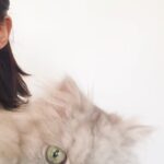 Yasemin Yazıcı Instagram - Sevgili Duman’ım, Çocukken kedilerden çok korkardım. Bu korkumu aşabilmem için seni sahiplendik. Meğer sen tüylü bir melekmişsin. Bir kez olsun beni tırmalamadın veya ısırmadın ya, teşekkür ederim minnoşum. Beraber uyurduk, birlikte ders çalışır, filmler izler, ve hatta spor yapardık. Tek çocuklu ailemde kardeşim oldun. Hayatımıza 16 yıl boyunca mutluluk getirdin. 4 sene önce hastalandığında veterinerin seni uyutmamızı önerdi. Neyse ki, daha fazla zamanla kutsandık ve sen hayatımızı bütün enerjinle aydınlatmaya devam ettin. Yıllar geçti ve 14 Ekim günü benden küçük bir kedi yavrusu olarak girdiğin evden kedi yaşıyla babamdan büyük olarak ayrıldın. Umarım cennette senin için sonsuz muhallebi, oturabileceğin güzel kutular, her zaman açık kapılar ve musluğundan sonsuz akan su vardır. Seni kucağımda izlediğin gibi güzel kuşlarla çevrili hayal ediyorum. Seni şimdiden çok özlüyoruz canım minnoşum. Paylaştığımız sevgi de anılar da kalbimde sonsuza kadar yaşayacak. Tekrar buluşana kadar huzur içinde dinlen. Tüm sevgimle, Yasemin