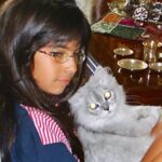 Yasemin Yazıcı Instagram - Sevgili Duman’ım, Çocukken kedilerden çok korkardım. Bu korkumu aşabilmem için seni sahiplendik. Meğer sen tüylü bir melekmişsin. Bir kez olsun beni tırmalamadın veya ısırmadın ya, teşekkür ederim minnoşum. Beraber uyurduk, birlikte ders çalışır, filmler izler, ve hatta spor yapardık. Tek çocuklu ailemde kardeşim oldun. Hayatımıza 16 yıl boyunca mutluluk getirdin. 4 sene önce hastalandığında veterinerin seni uyutmamızı önerdi. Neyse ki, daha fazla zamanla kutsandık ve sen hayatımızı bütün enerjinle aydınlatmaya devam ettin. Yıllar geçti ve 14 Ekim günü benden küçük bir kedi yavrusu olarak girdiğin evden kedi yaşıyla babamdan büyük olarak ayrıldın. Umarım cennette senin için sonsuz muhallebi, oturabileceğin güzel kutular, her zaman açık kapılar ve musluğundan sonsuz akan su vardır. Seni kucağımda izlediğin gibi güzel kuşlarla çevrili hayal ediyorum. Seni şimdiden çok özlüyoruz canım minnoşum. Paylaştığımız sevgi de anılar da kalbimde sonsuza kadar yaşayacak. Tekrar buluşana kadar huzur içinde dinlen. Tüm sevgimle, Yasemin