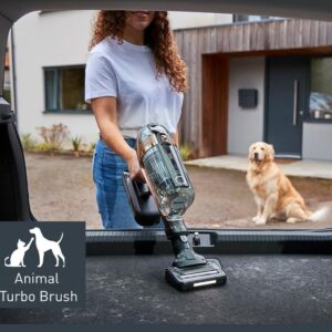 Yasmine Alice Instagram - @tefal.uk has some hoovers now, catch me in their commercial! The real star was obviously the doggo… 🐶🦮📸 by @fromthehipvideo 🎬 #actress #model #actorslife