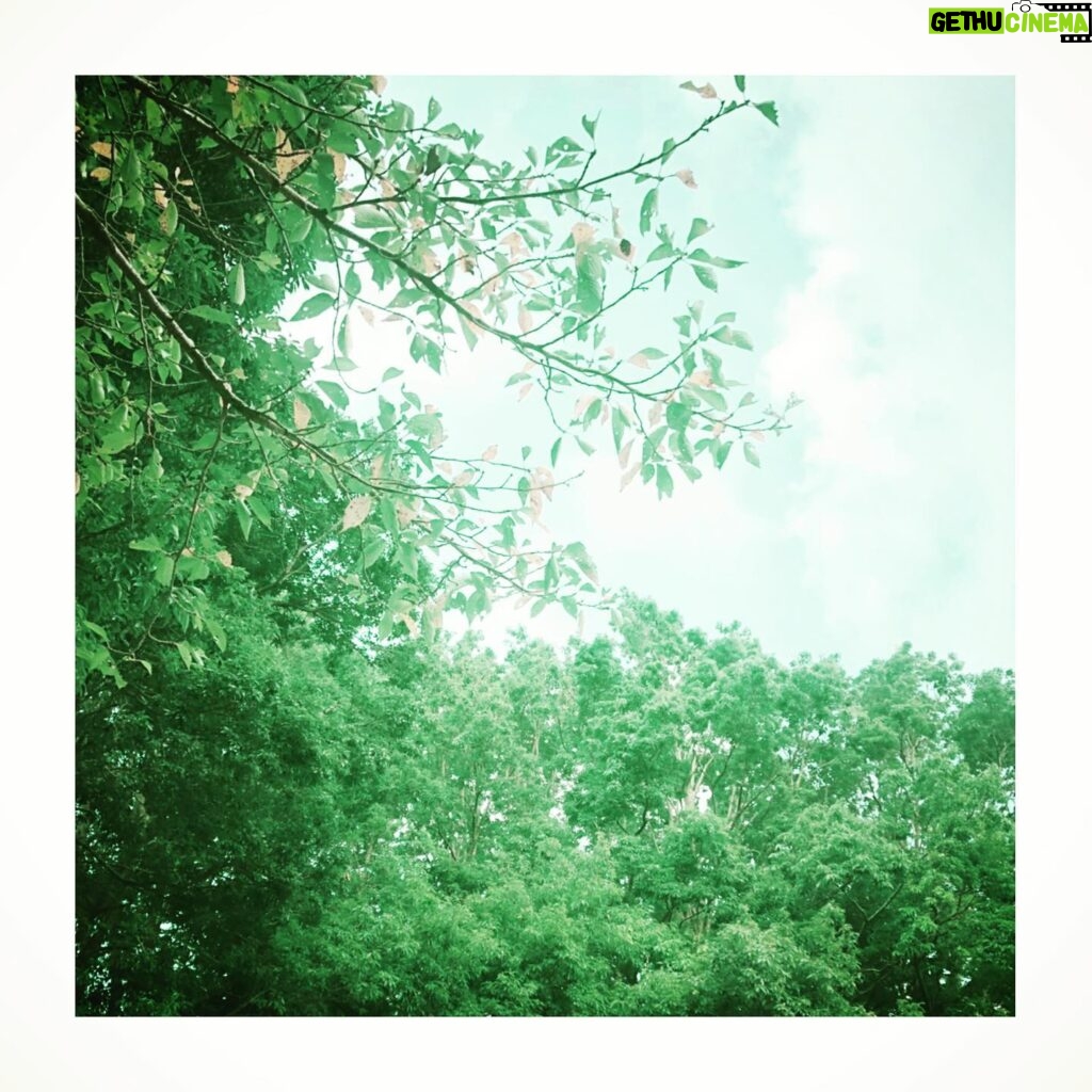 Yasuko Matsuyuki Instagram - 自然。。緑の中へ #皆さま無事でありますように