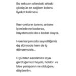 Yeşim Ceren Bozoğlu Instagram - Liyakat üzerine..