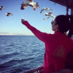 Yeliz Kuvancı Instagram - Martılara cips kola. Özel cips kola.🐦